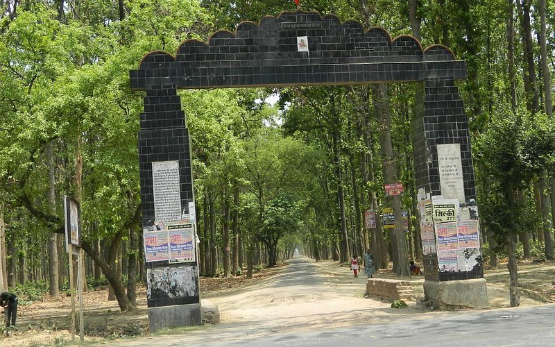 Kusumhi Jungle( Forest), Gorakhpur: A Tranquil Retreat in Nature's Embrace and Nature's gift to Gorakhpur